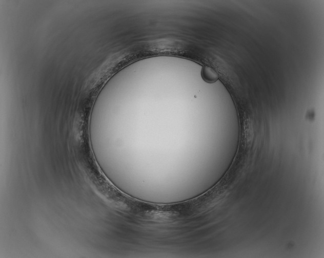 X0000116680255200912291725