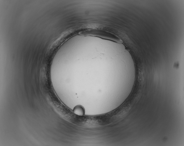 X0000116680256200912291725