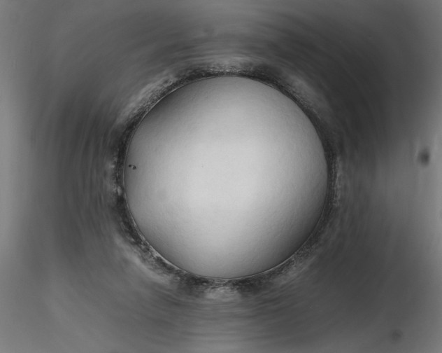 X0000116680258200912291725