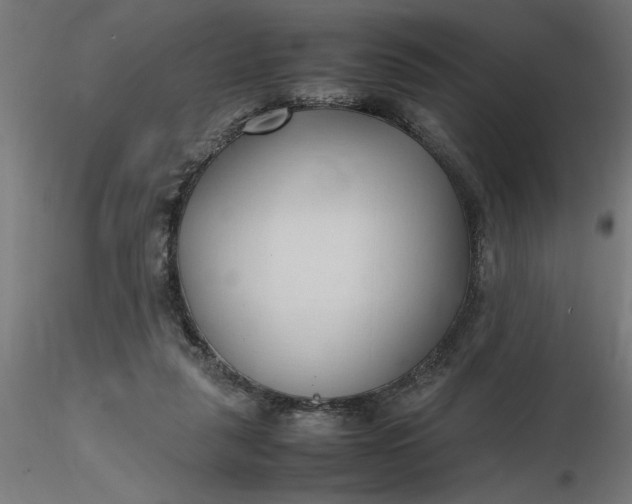 X0000116680259200912291725