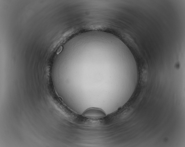 X0000116680260200912291725