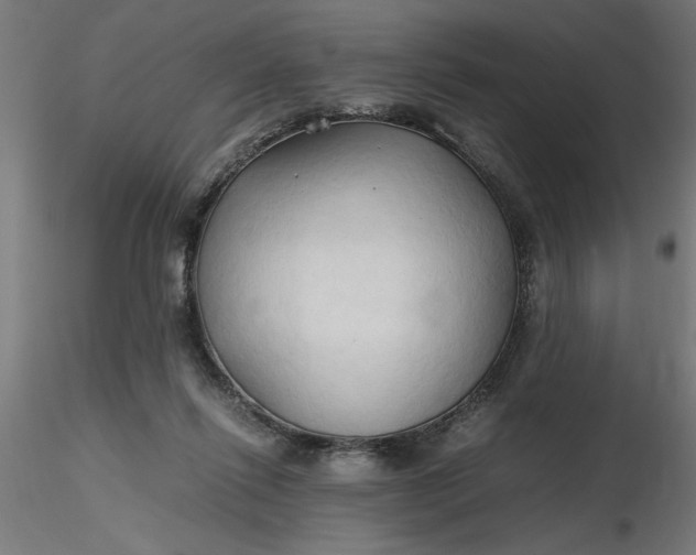 X0000116680262200912291725