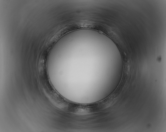 X0000116680263200912291725