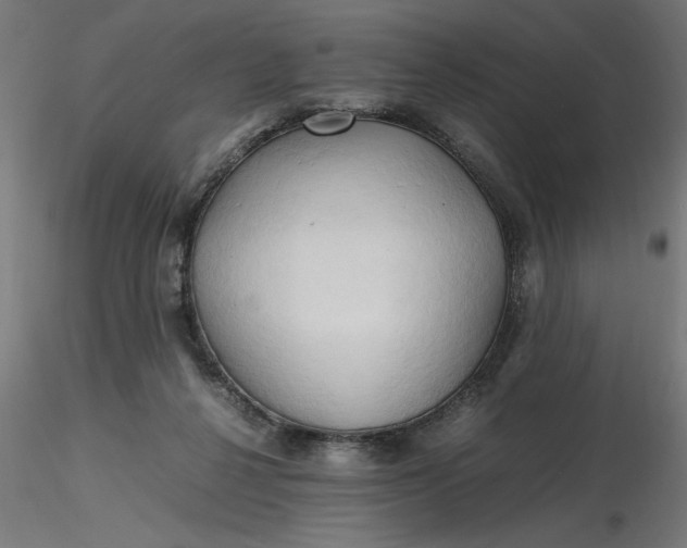 X0000116680264200912291725