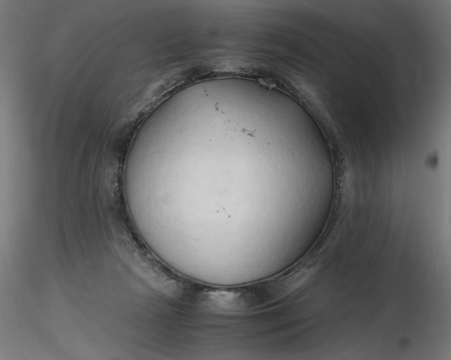 X0000116680265200912291725