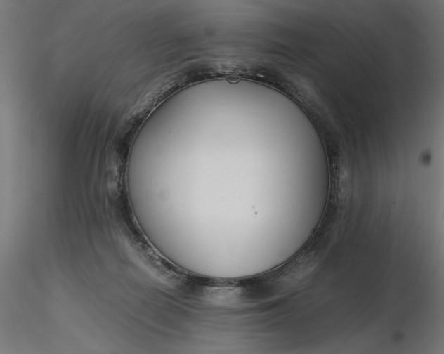 X0000116680266200912291725