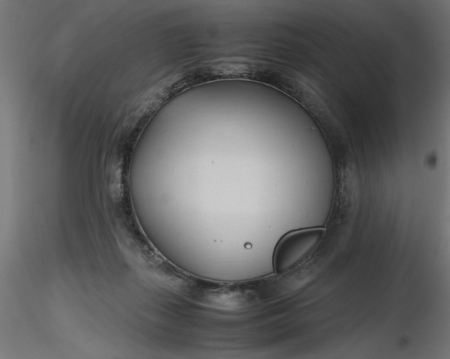 X0000116680267200912291725