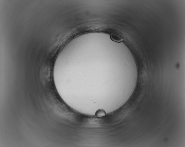 X0000116680268200912291725