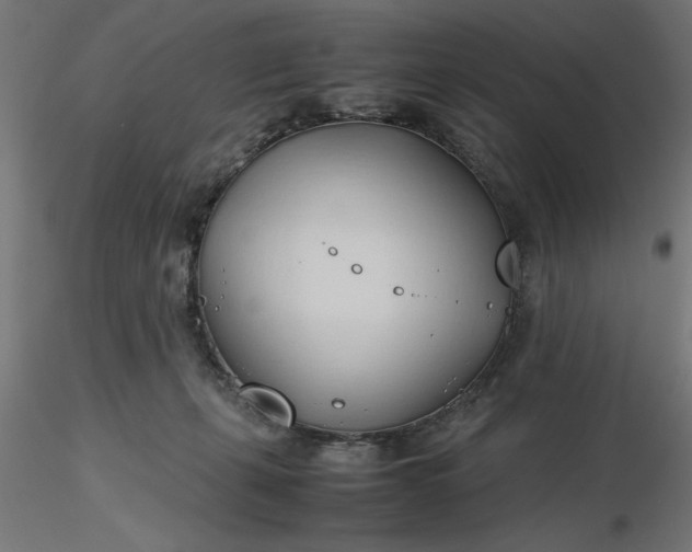 X0000116680271200912291725