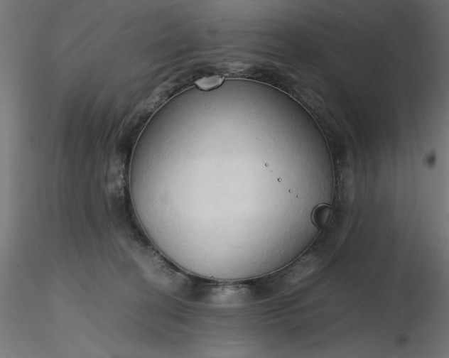 X0000116680274200912291726