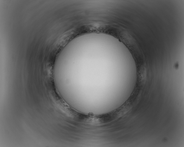 X0000116680276200912291726