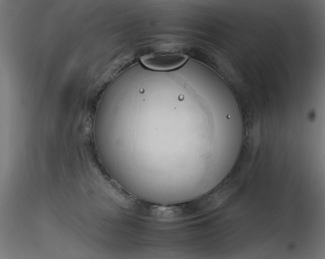 X0000116680277200912291726