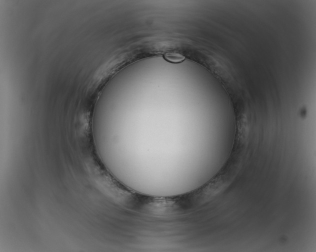 X0000116680278200912291726