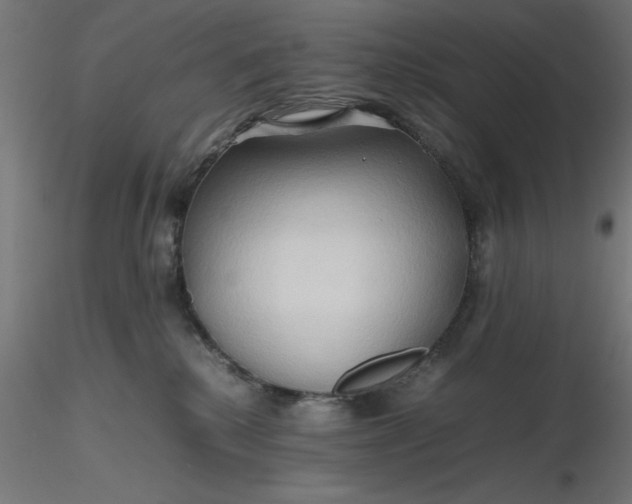 X0000116680280200912291726