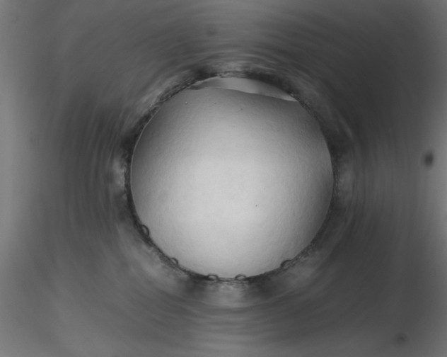 X0000116680282200912291726