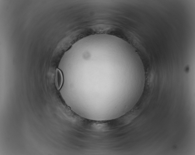 X0000116680283200912291726