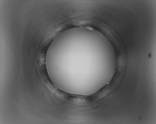 X0000116680284200912291726