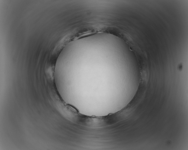 X0000116680286200912291726