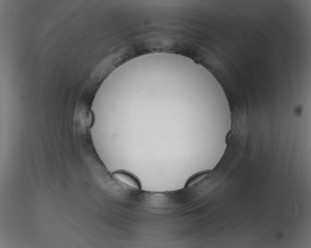 X0000116680287200912291726