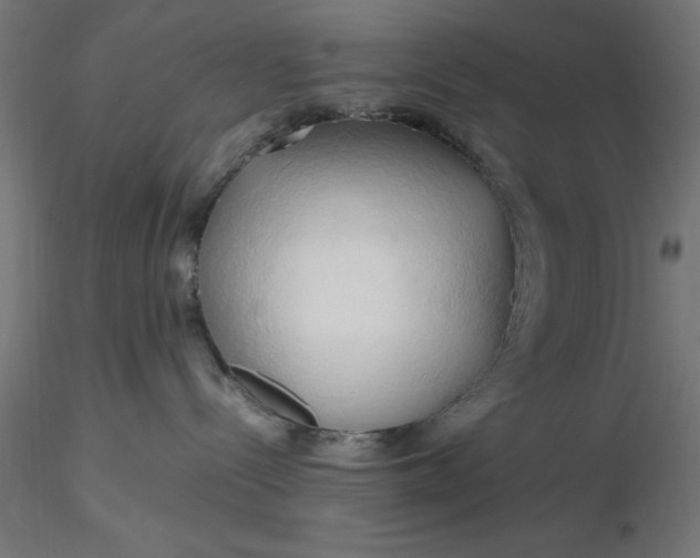 X0000116680288200912291726