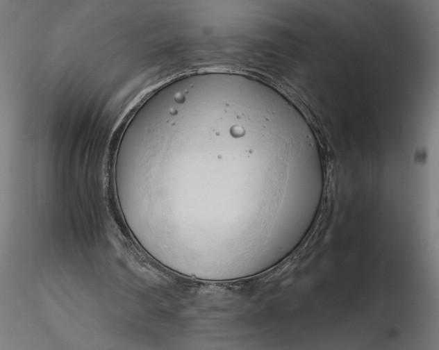 X0000116680290200912291725