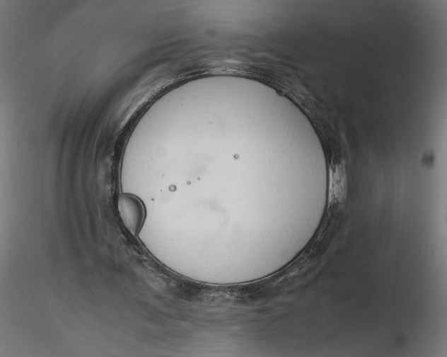 X0000116680291200912291725