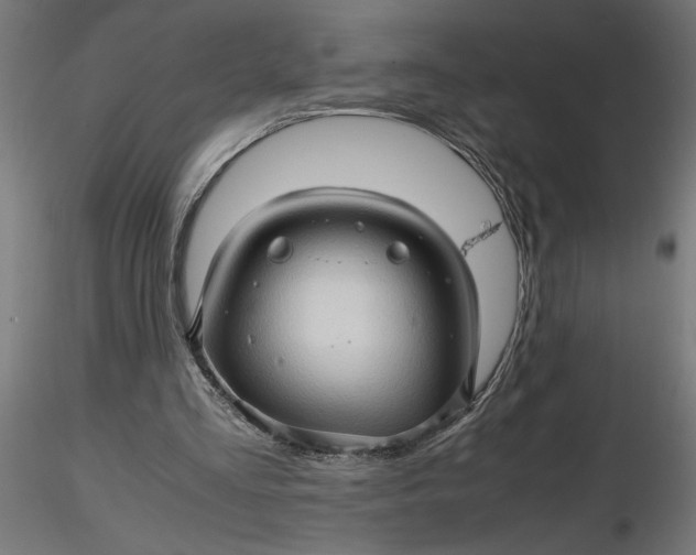 X0000116680293200912291725