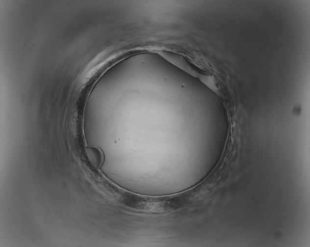 X0000116680295200912291725