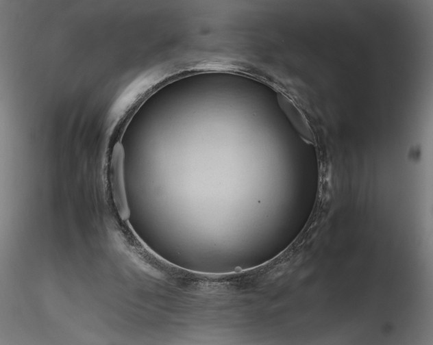 X0000116680296200912291725