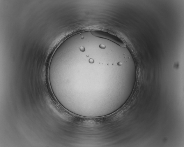 X0000116680298200912291725