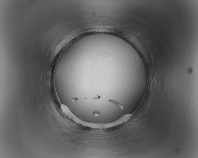 X0000116680299200912291725