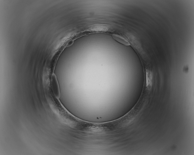 X0000116680300200912291725