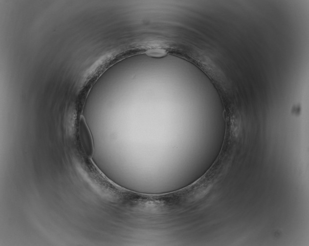 X0000116680304200912291725