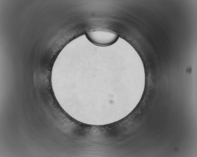 X0000116680305200912291725