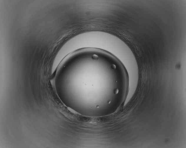 X0000116680308200912291725