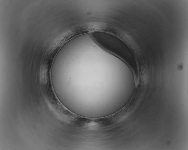 X0000116680312200912291725