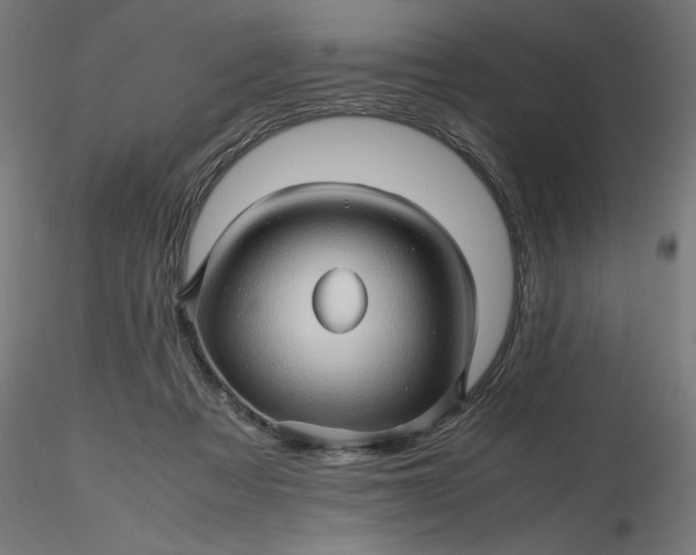 X0000116680313200912291725