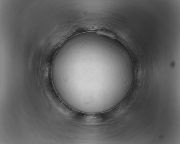 X0000116680315200912291725