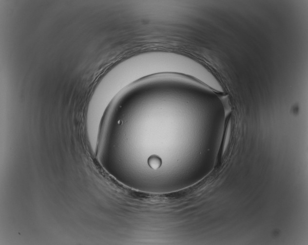 X0000116680317200912291725