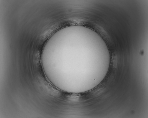 X0000116680318200912291725