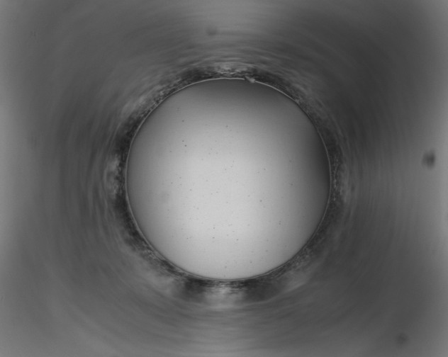 X0000116680319200912291725