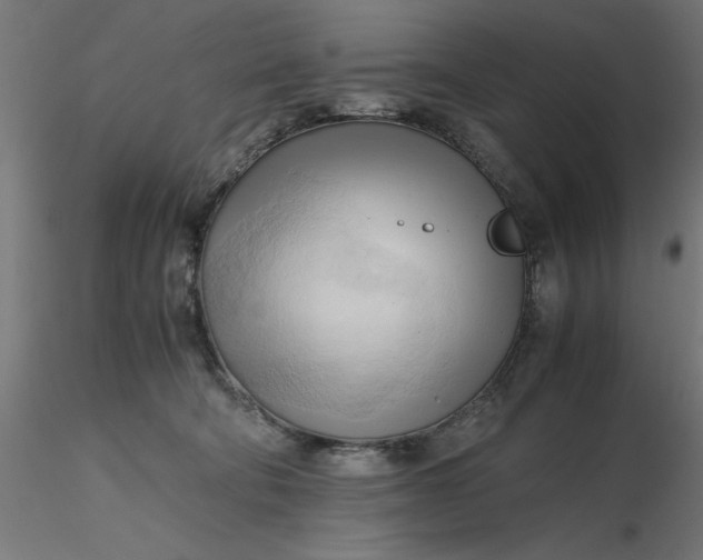 X0000116680322200912291725