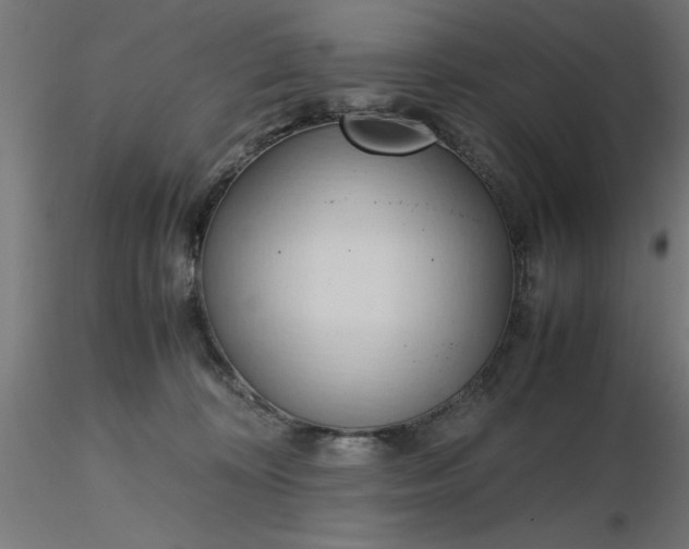 X0000116680324200912291725