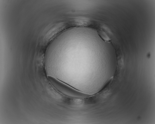 X0000116680325200912291725