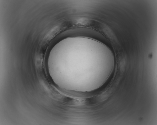 X0000116680328200912291725