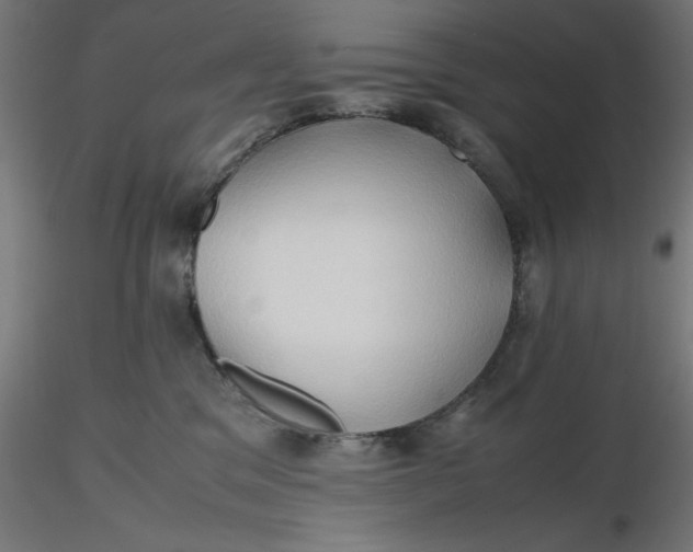 X0000116680329200912291724