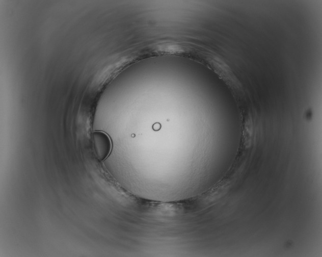 X0000116680330200912291724