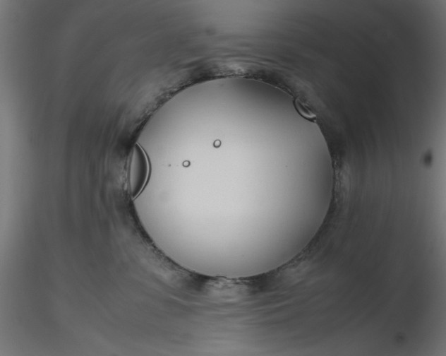 X0000116680331200912291724