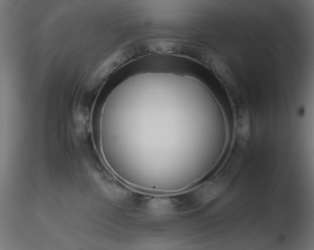 X0000116680332200912291724