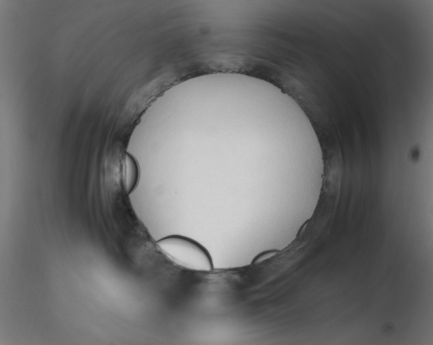 X0000116680334200912291724